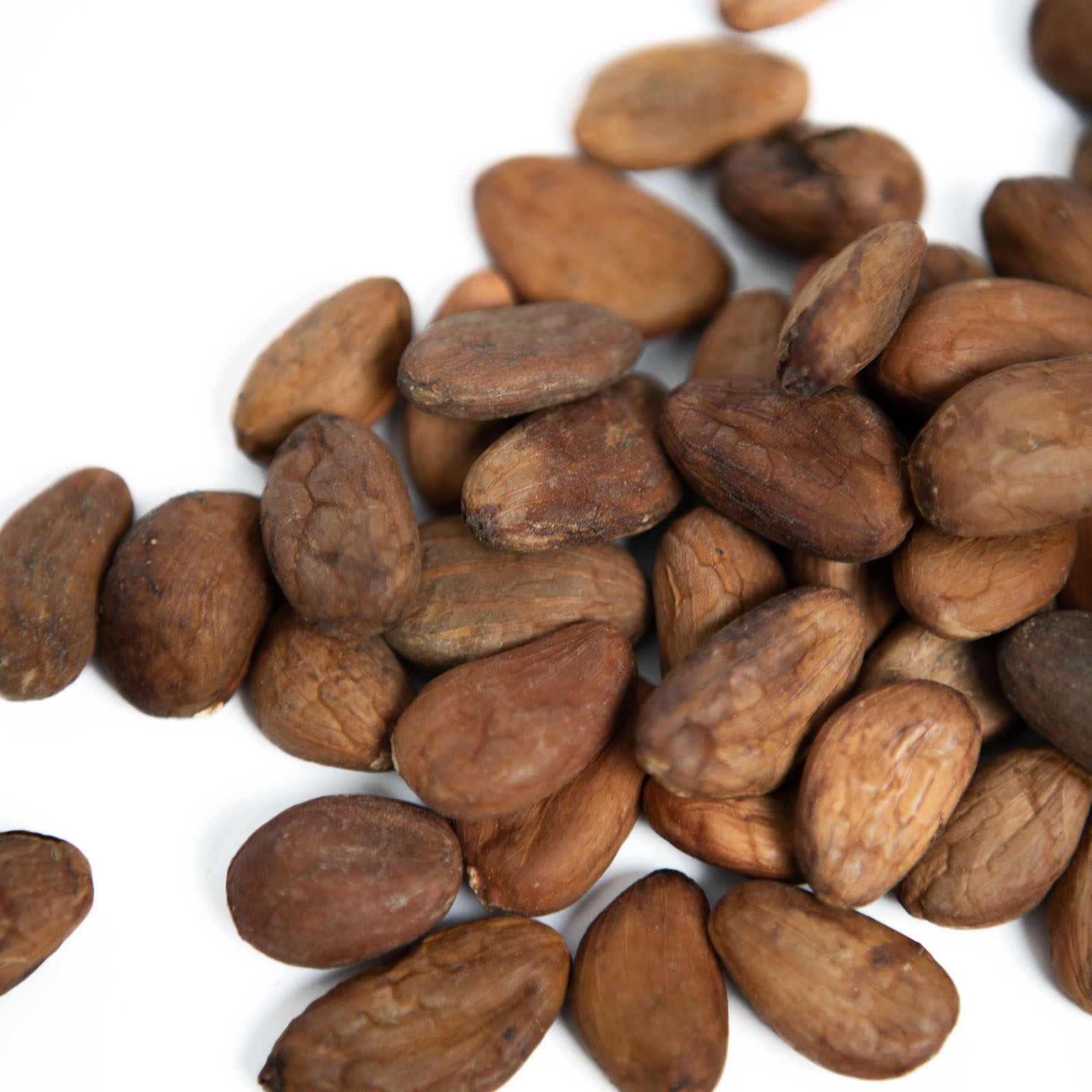 Cejlonské kakaové boby nepražené Bio